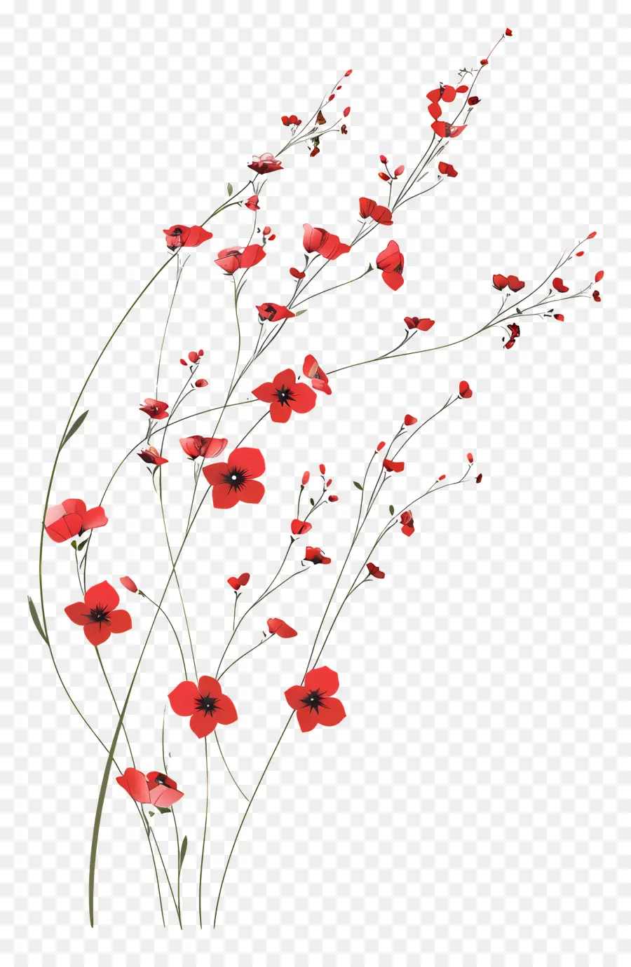 Bunga Bunga Merah，Bunga Poppy Merah PNG