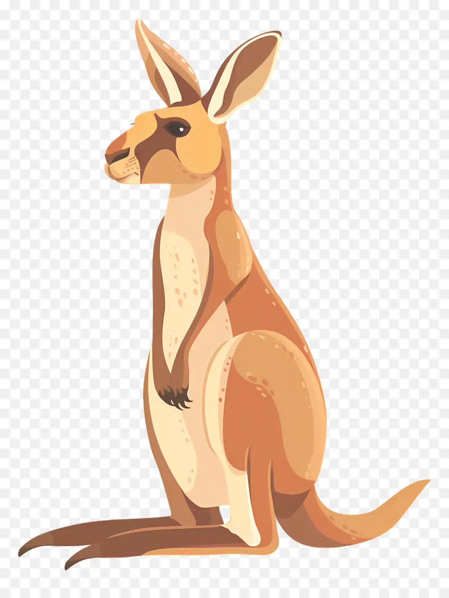 Kanguru，Australia PNG
