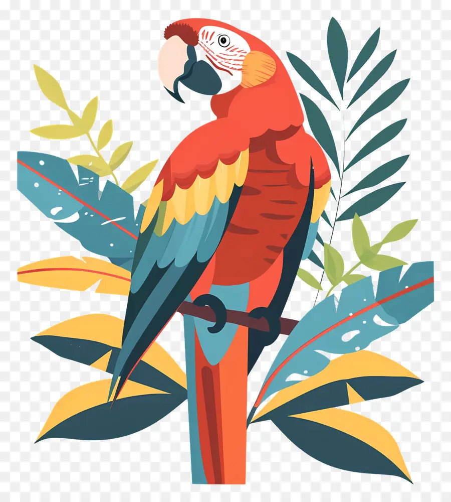 Macaw，Burung Beo Berwarna Warni PNG