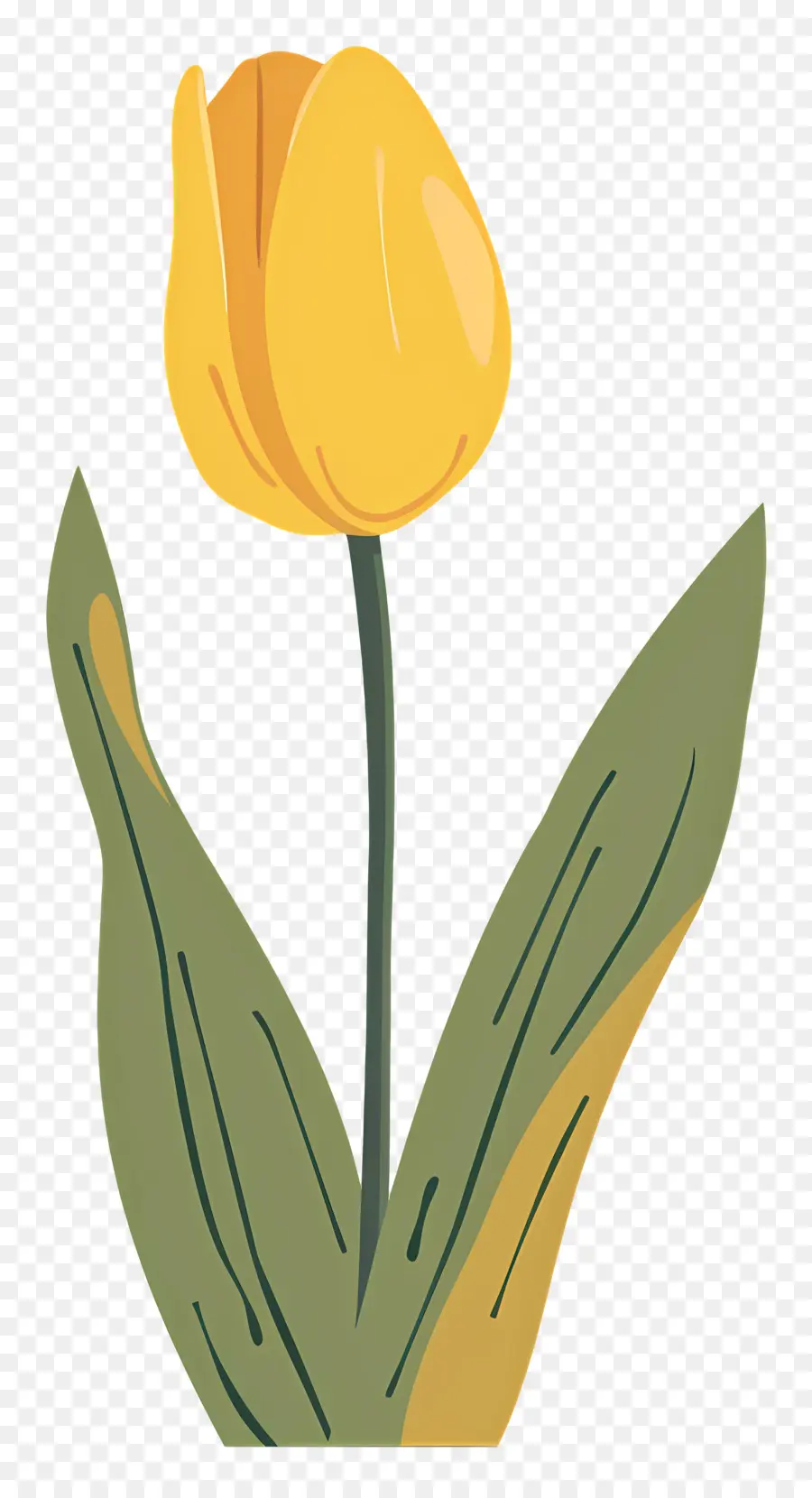 Bunga Tulp Kuning，Tulip Kuning PNG