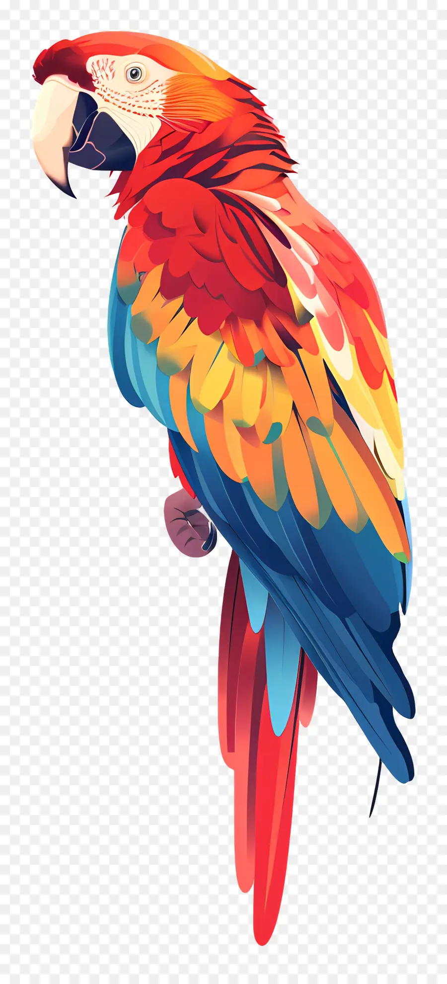 Macaw，Burung Beo Berwarna Warni PNG