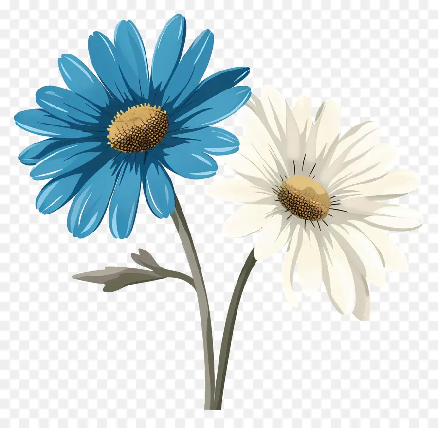 Bunga Daisy，Aster Biru PNG