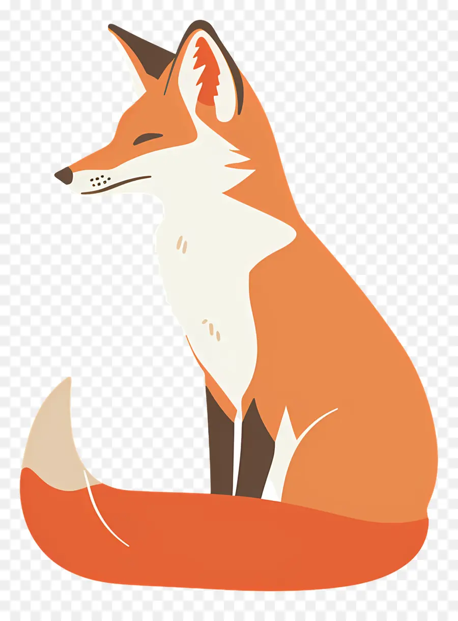 Fox，Orange PNG