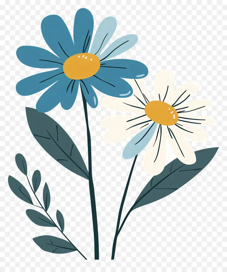 Bunga Daisy，Bunga Putih Dan Biru PNG