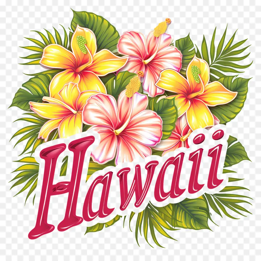 Hawaii，Hawaii Kembang Sepatu PNG