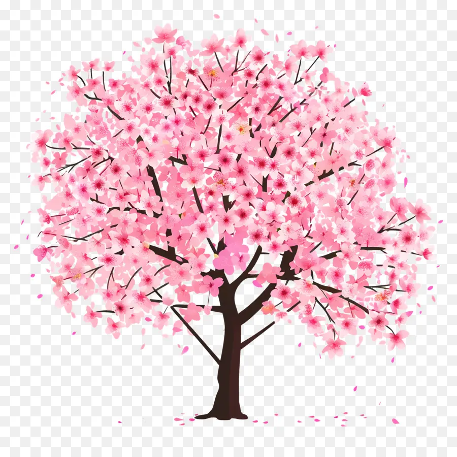 Pohon Sakura，Musim Semi PNG