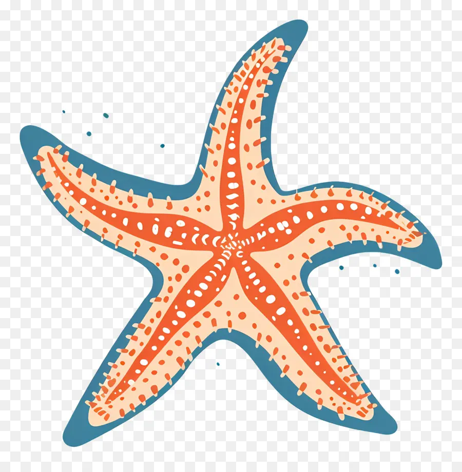 Bintang Laut，Starfish Melihat PNG