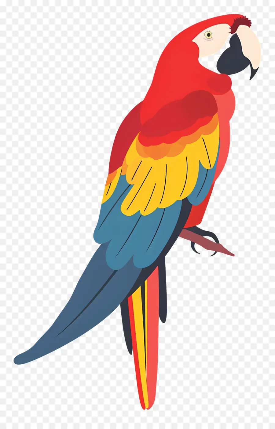 Macaw，Burung Beo PNG