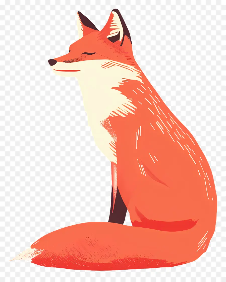 Fox，Rubah Merah PNG