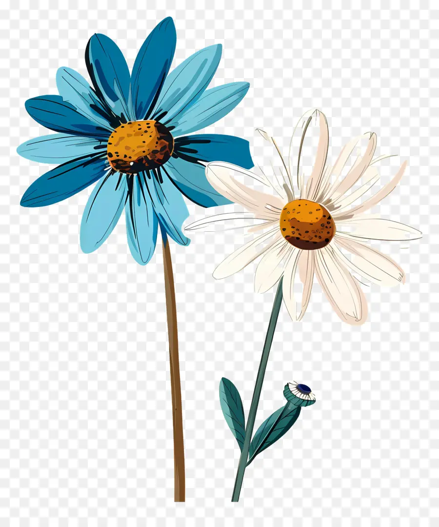 Bunga Daisy，Aster Biru PNG