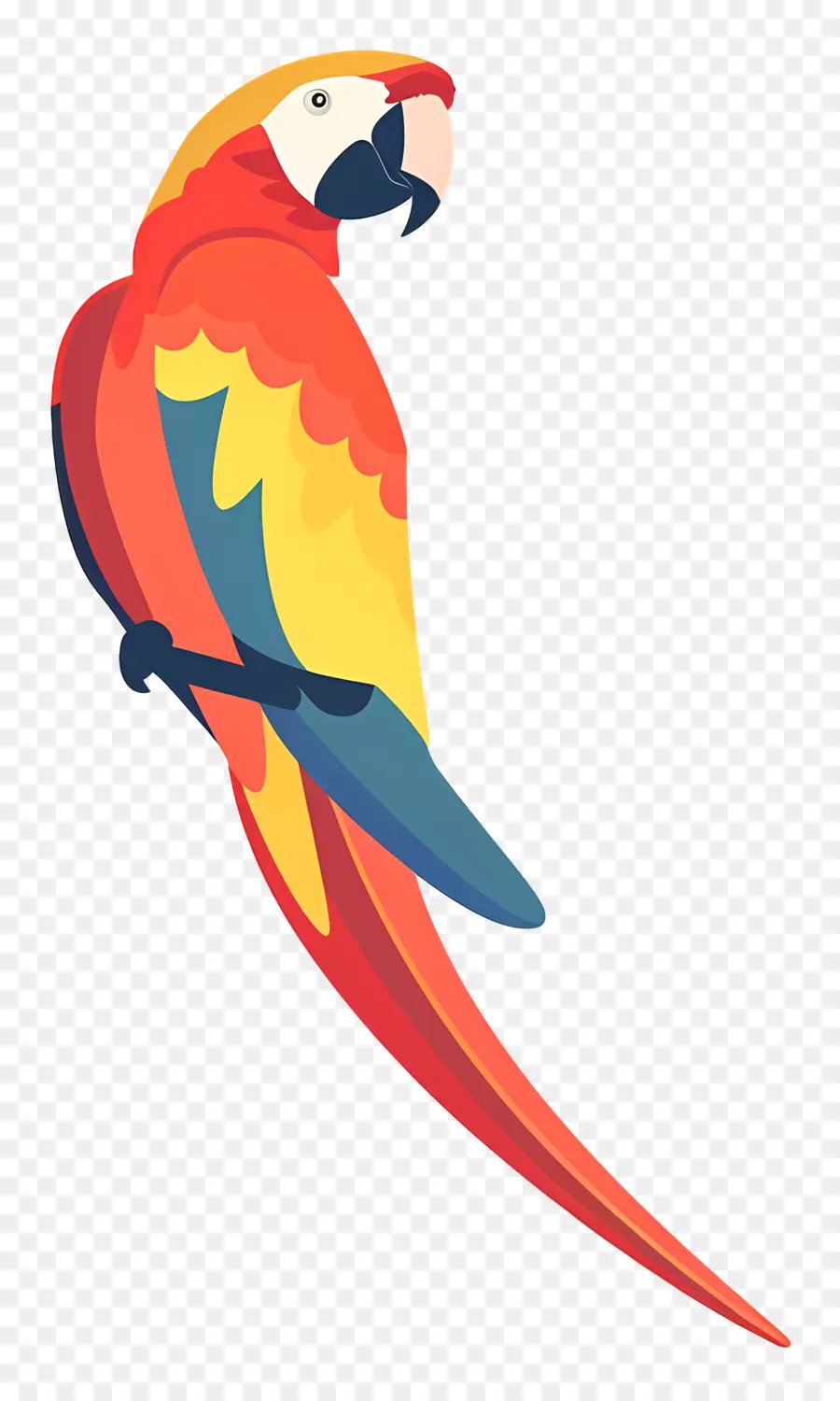 Macaw，Burung Beo PNG