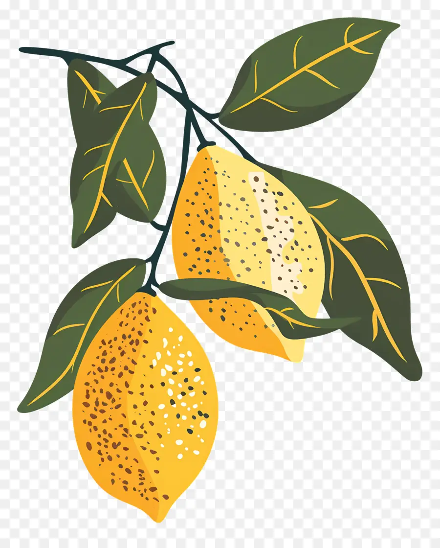 Lemon，Jeruk PNG