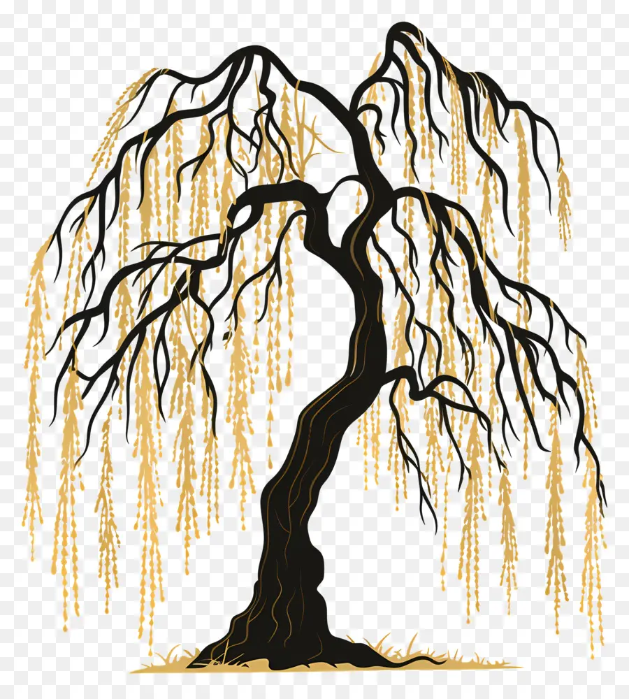 Menangis Pohon Willow，Pohon Willow PNG