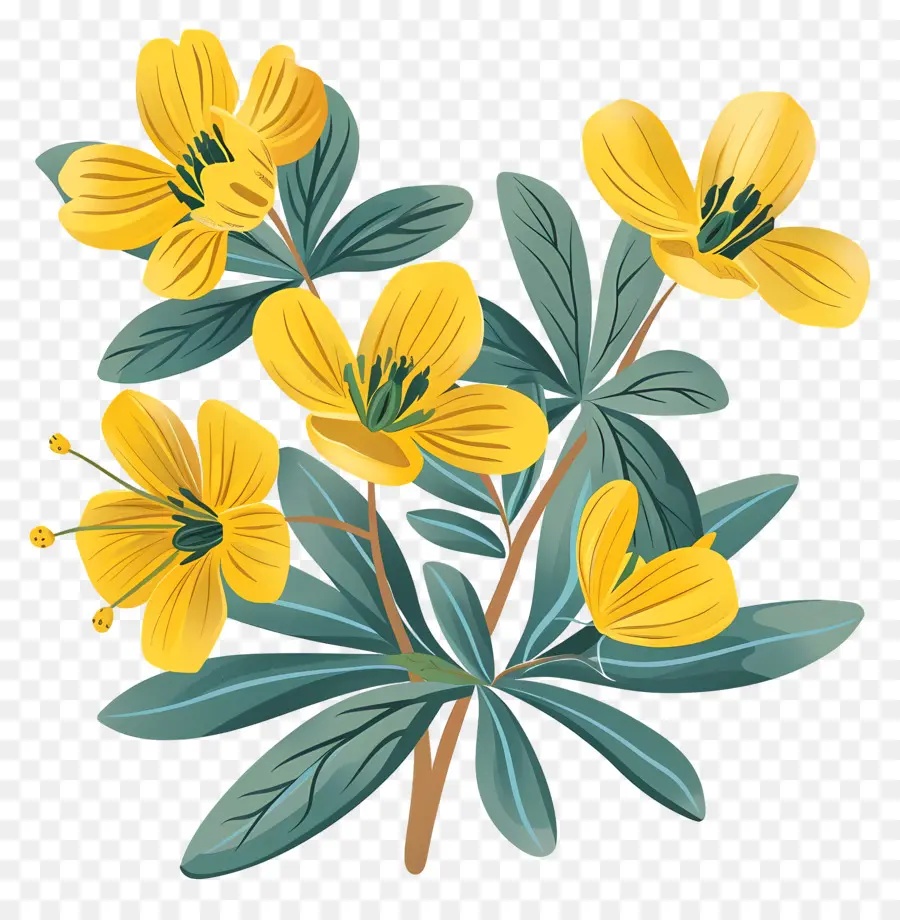 Musim Dingin Aconite，Bunga Kuning PNG