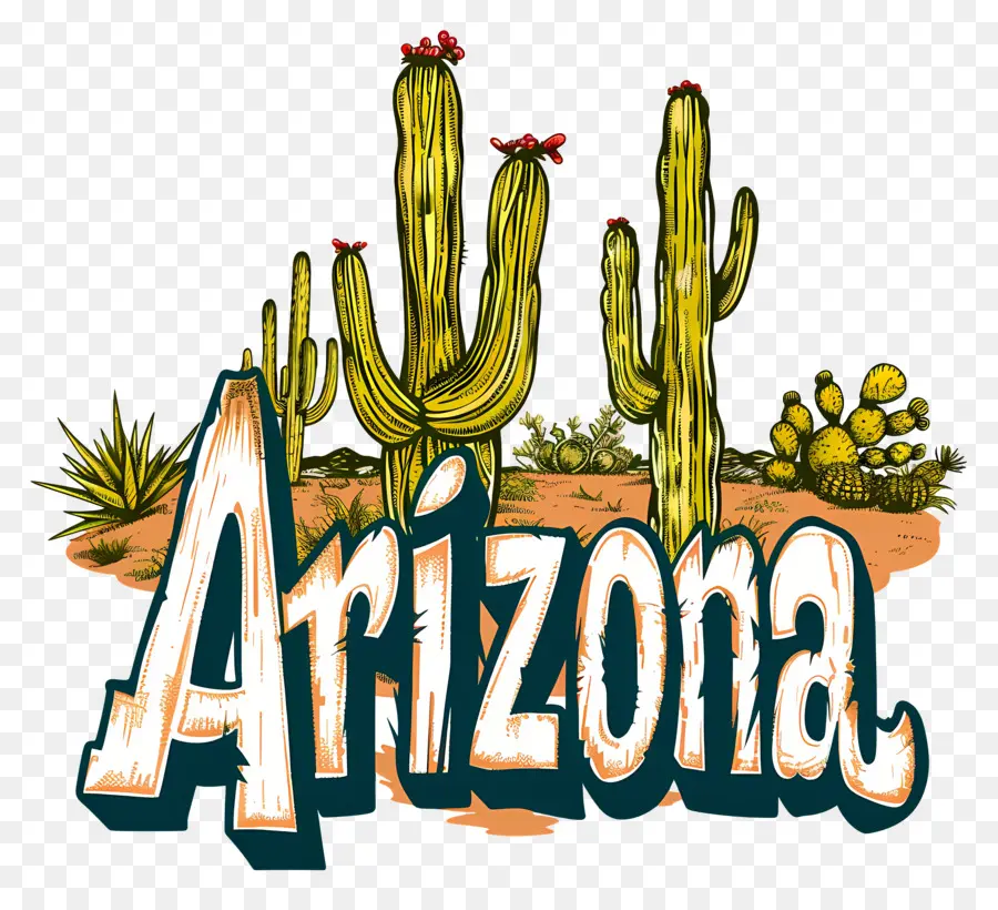 Arizona，Kaktus PNG