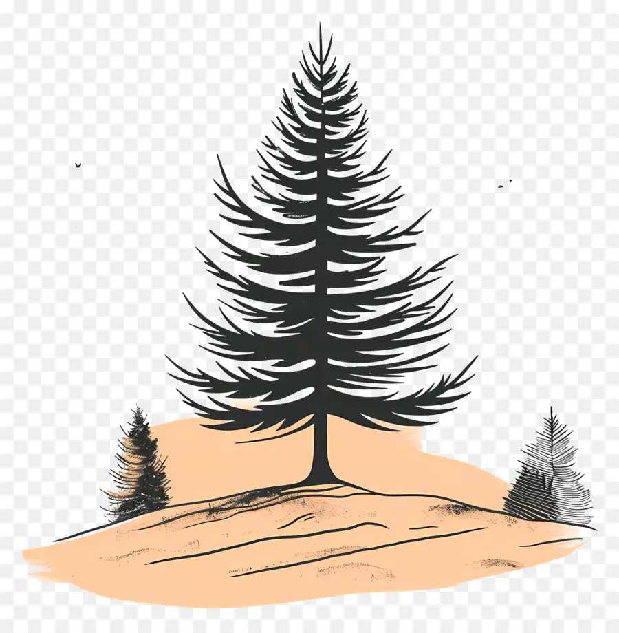 Pohon Pinus，Hill PNG