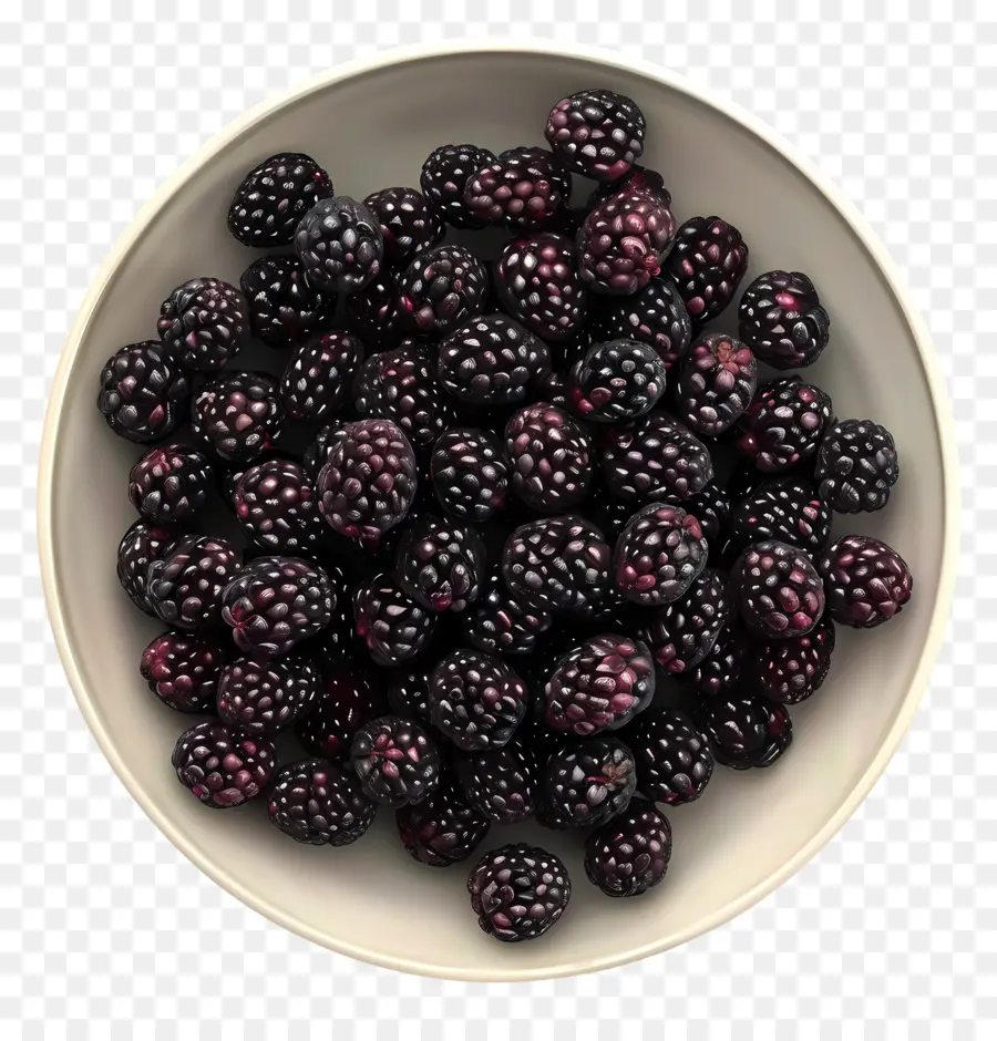 Murbei，Blackberry PNG