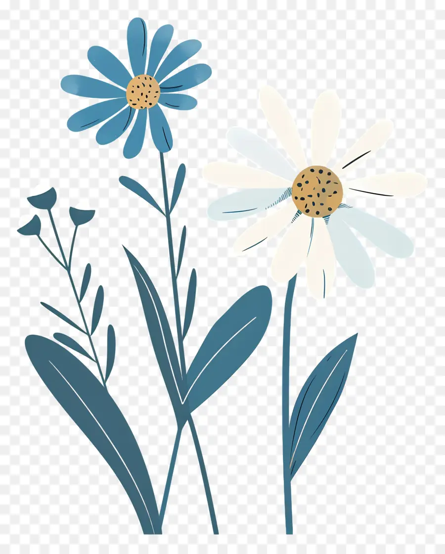 Bunga Daisy，Bunga Bunga Biru PNG