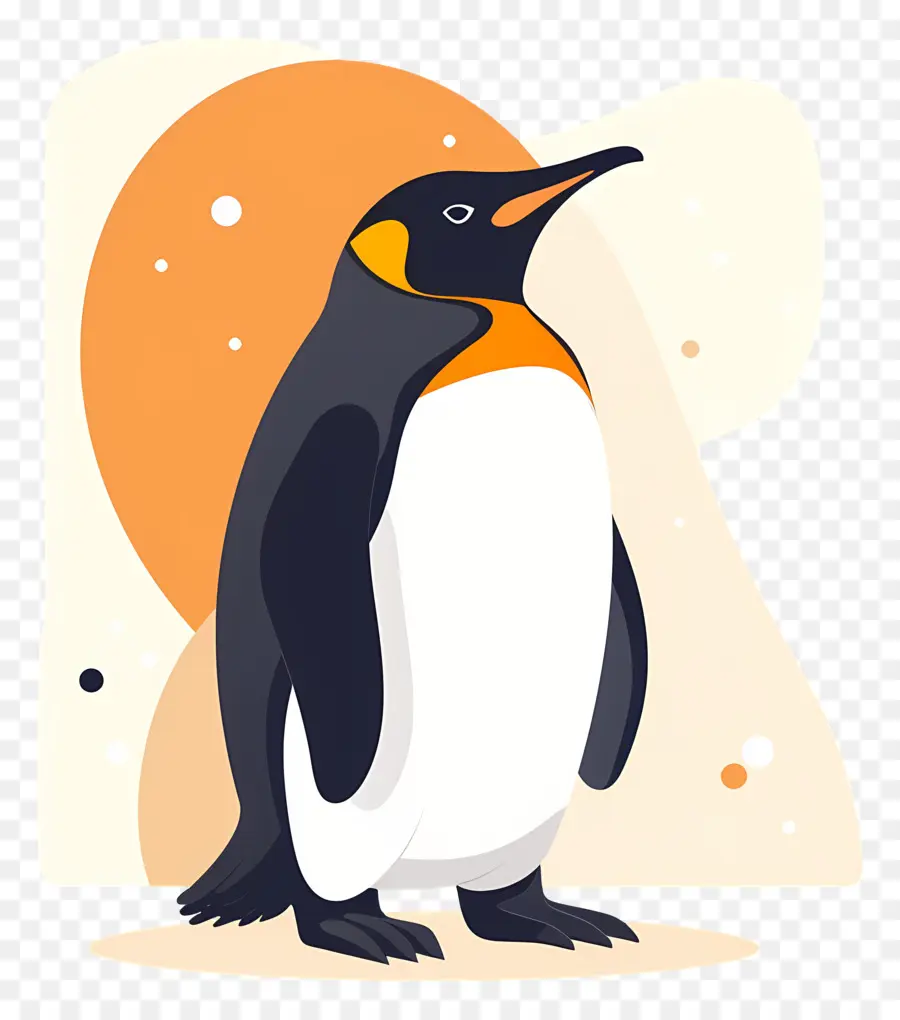 Penguin，Orange PNG