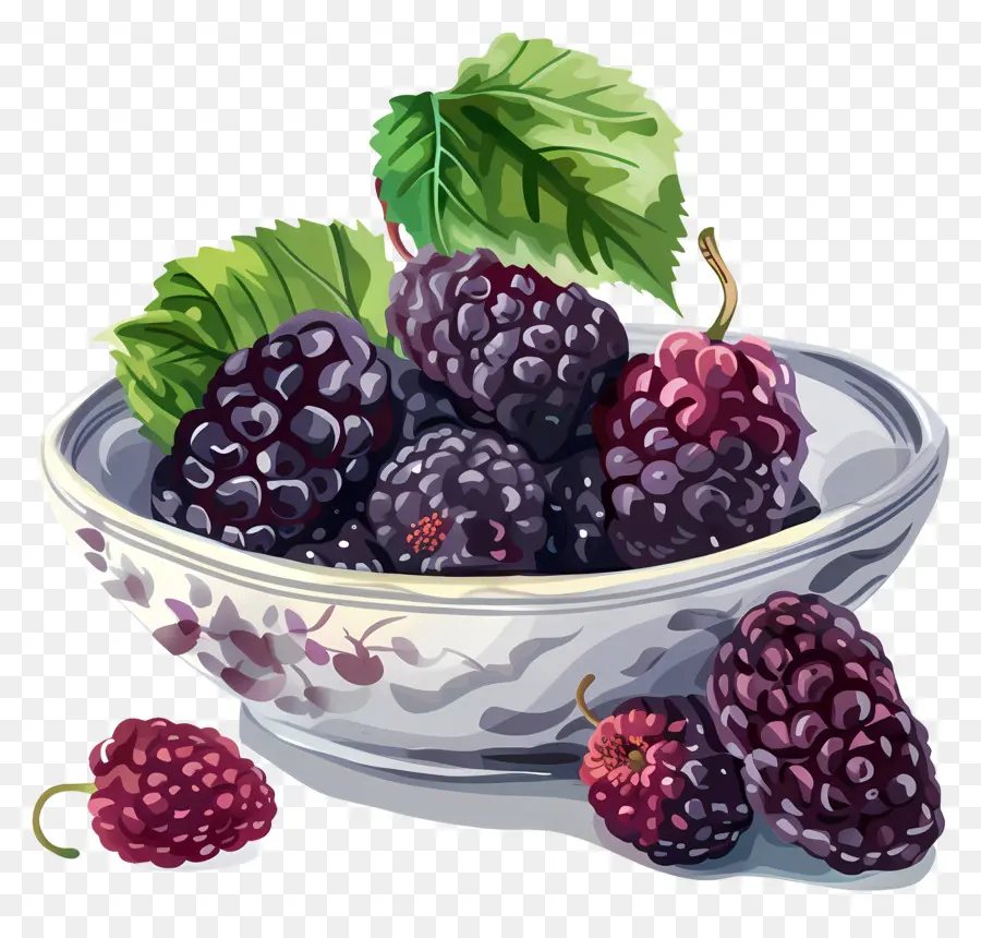 Murbei，Blackberry PNG