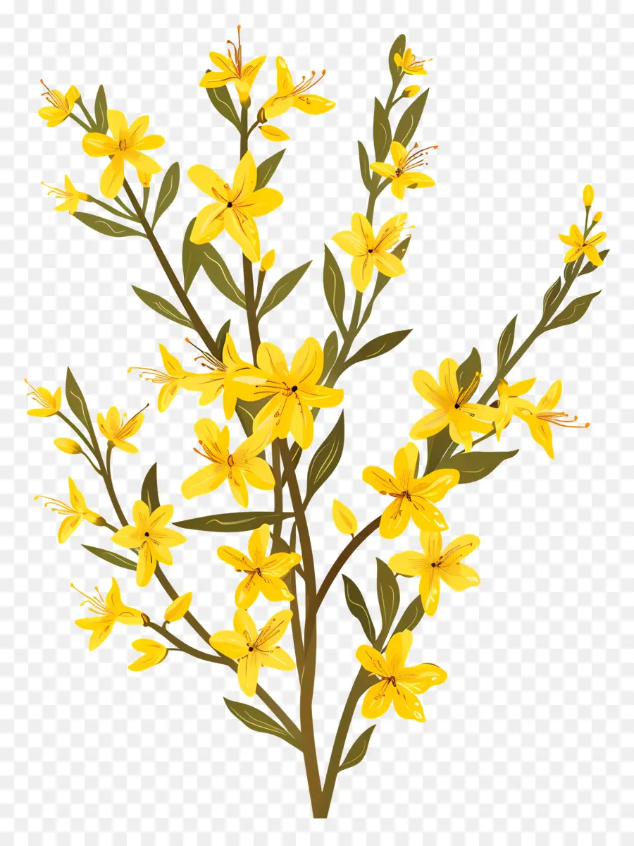 Forsythia，Bunga Kuning PNG