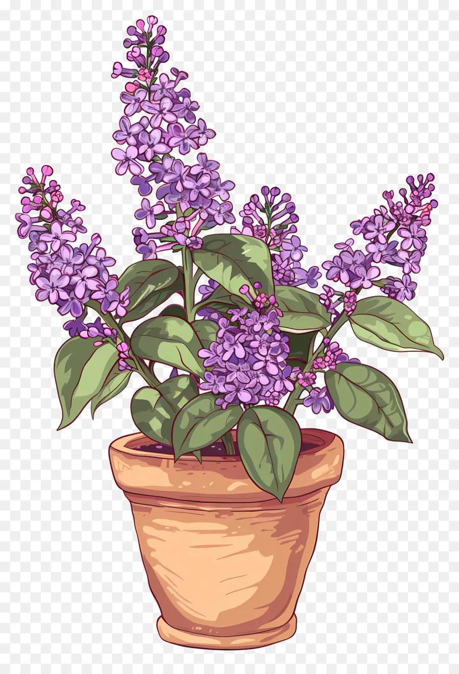 Bunga Ungu，Lilac Ungu PNG