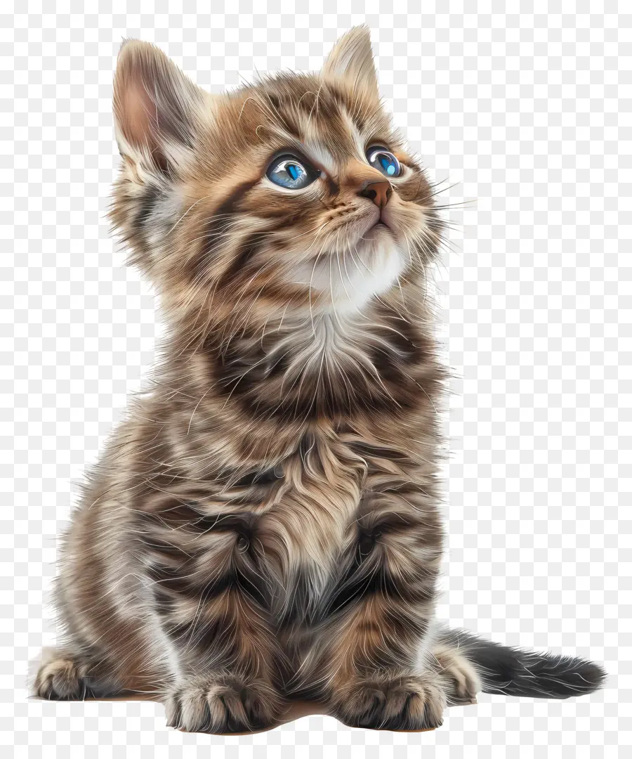 EMOJI，Anak Kucing Tabby PNG