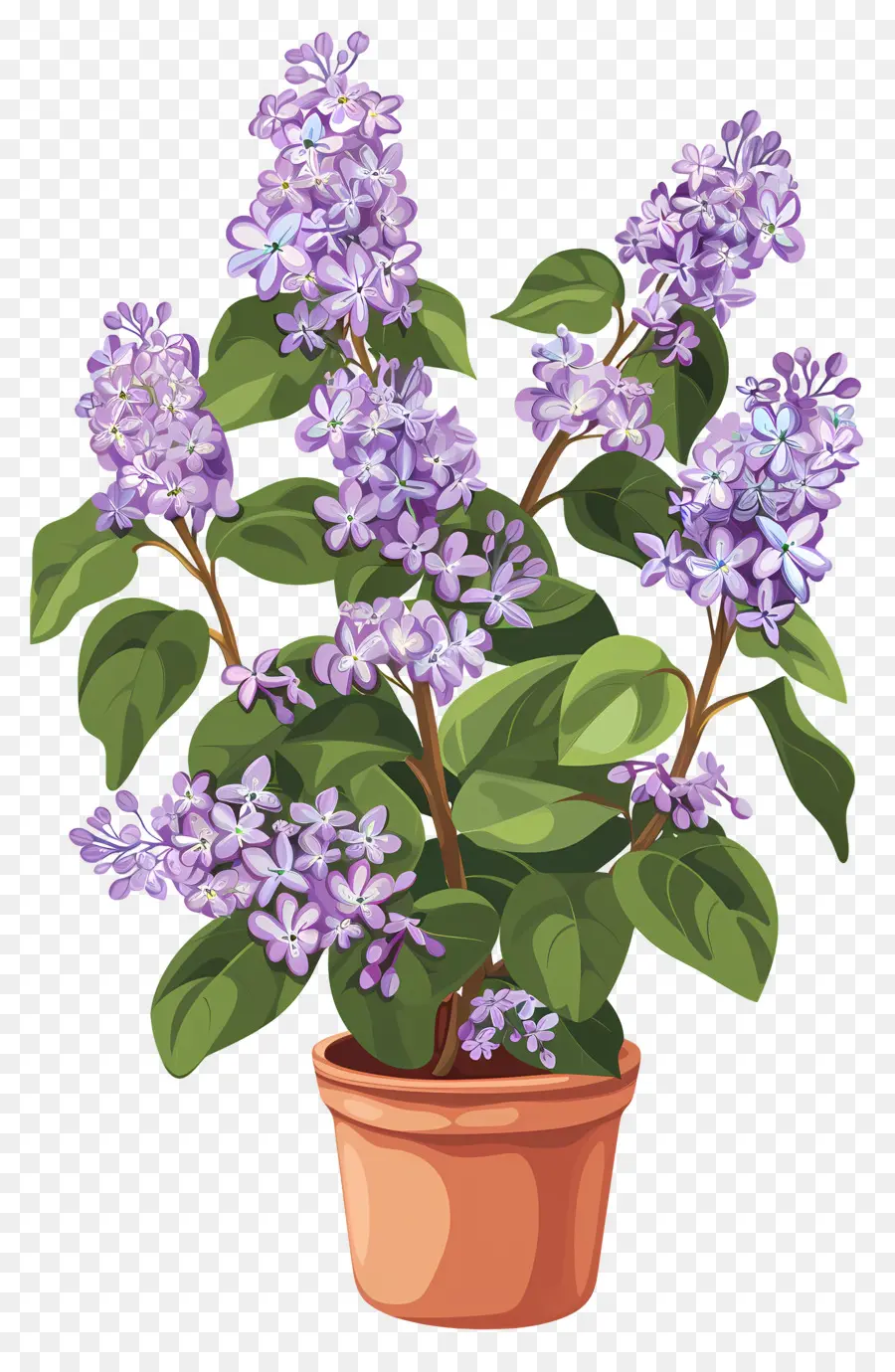 Bunga Ungu，Lilac Ungu PNG