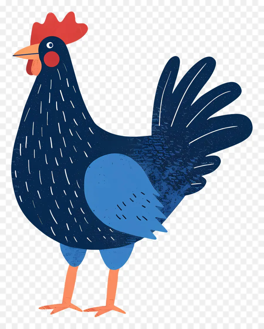 Ayam，Blue Ayam PNG