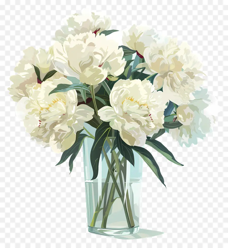 Peony Putih，Peony PNG