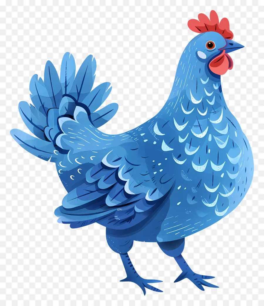 Ayam，Hen Biru PNG