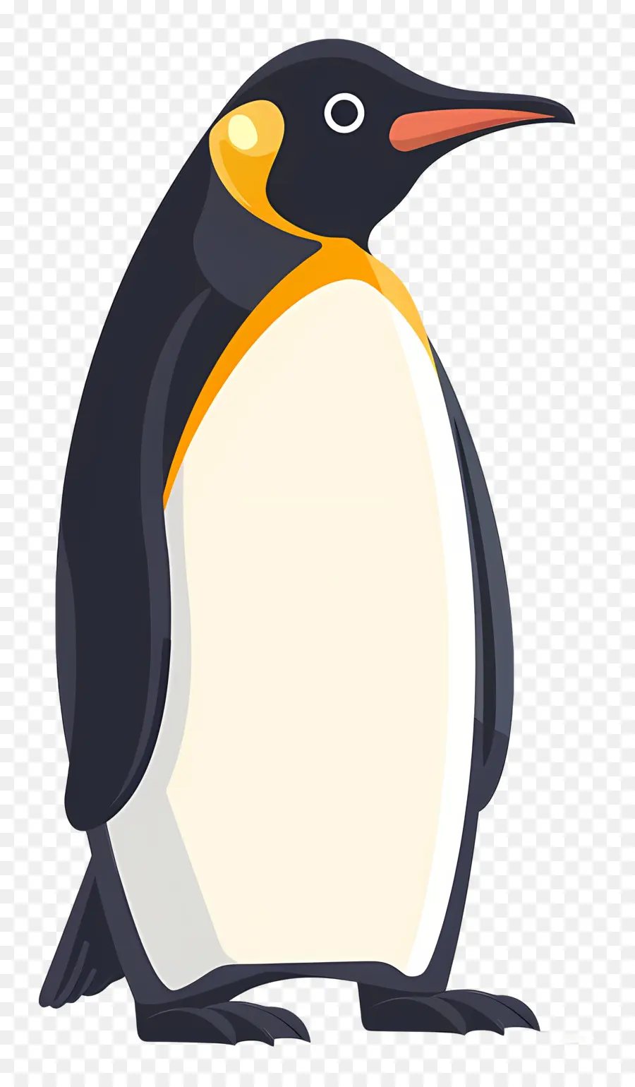 Penguin，Burung PNG