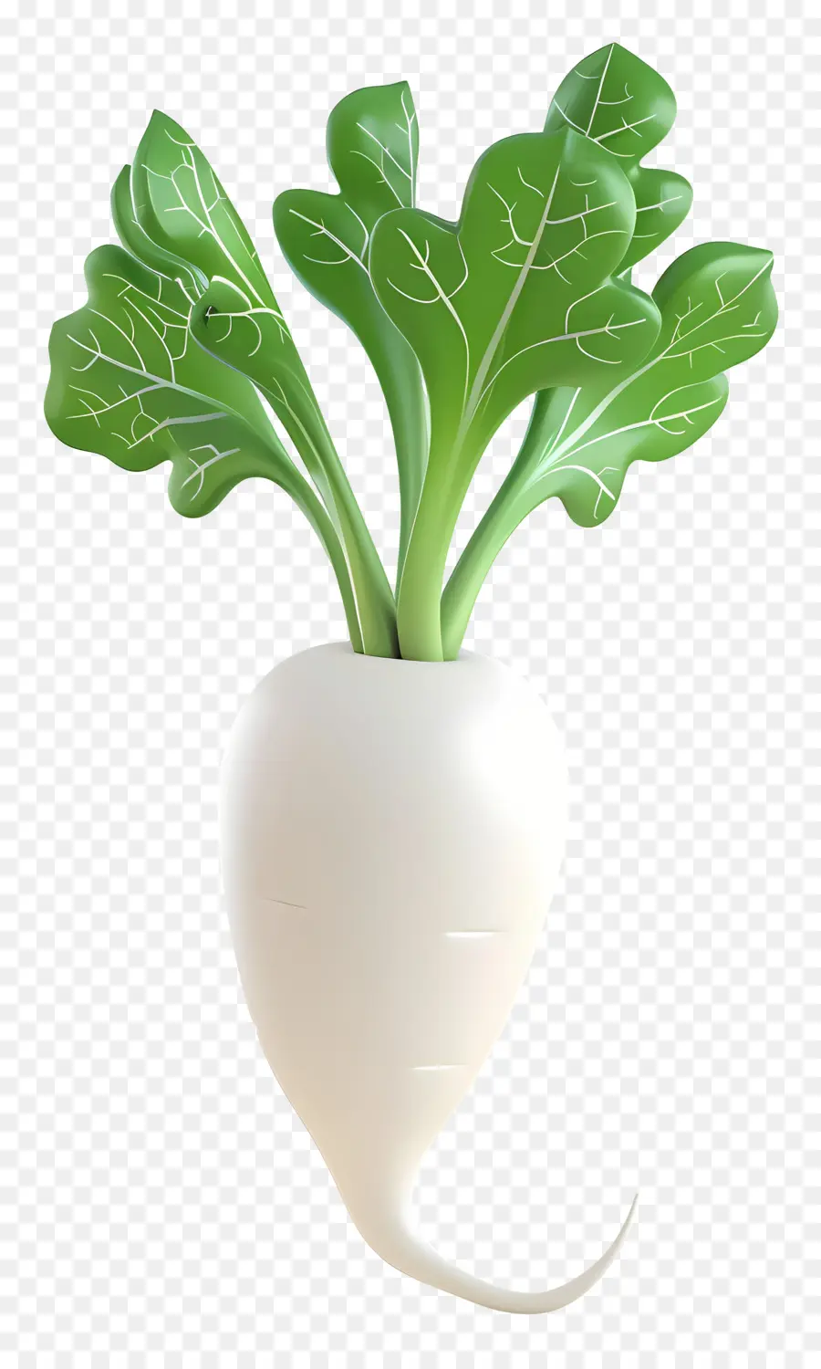 Lobak Daikon，Lobak PNG