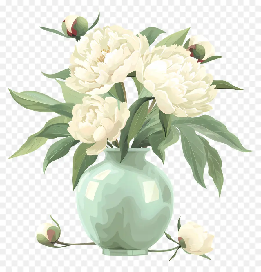 Peony Putih，Bunga PNG