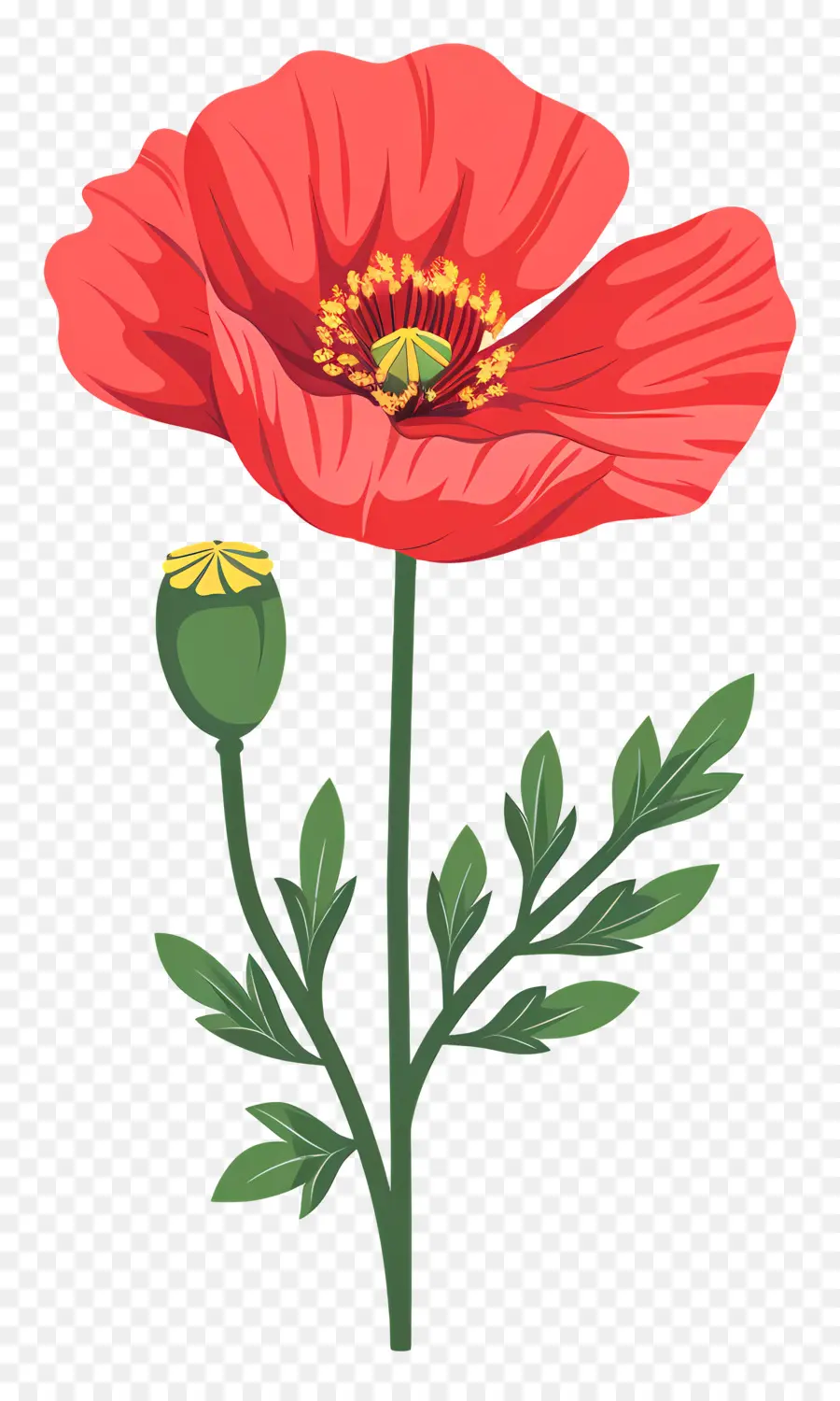 Poppy Bunga，Kelopak Merah PNG