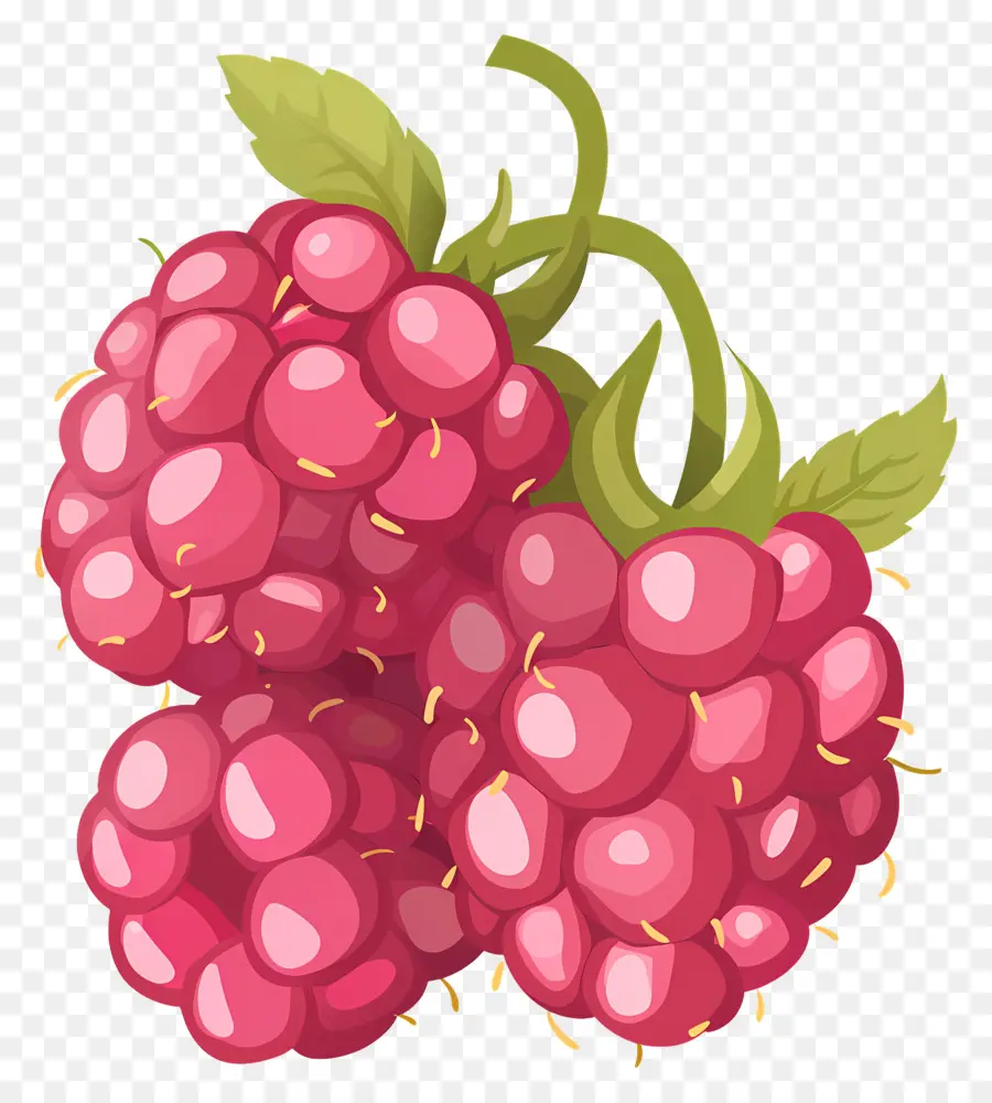 Raspberry，Buah PNG