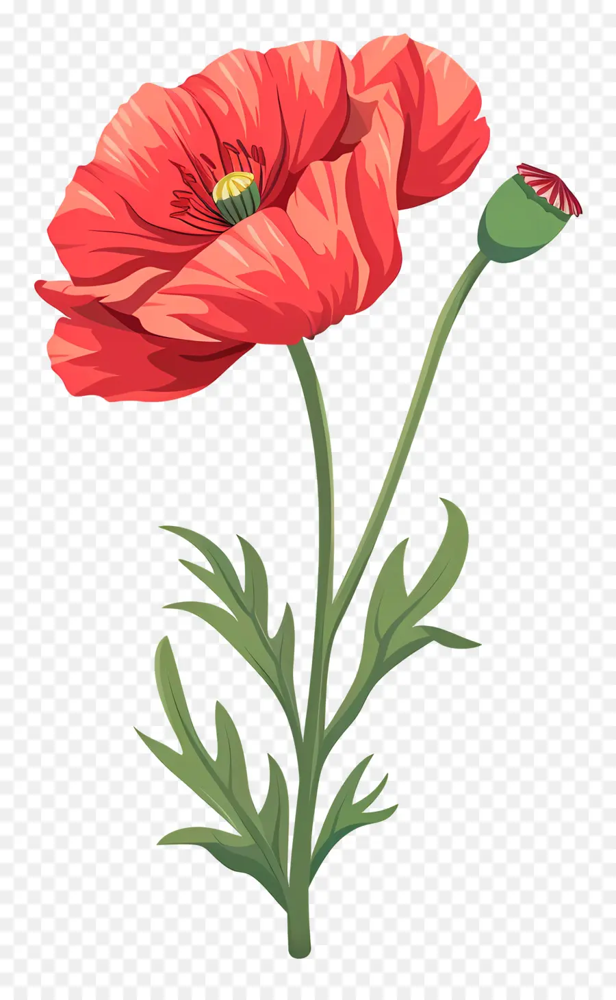 Poppy Bunga，Bunga Poppy Merah PNG