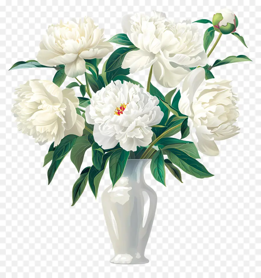 Peony Putih，Putih Porselen Vas PNG