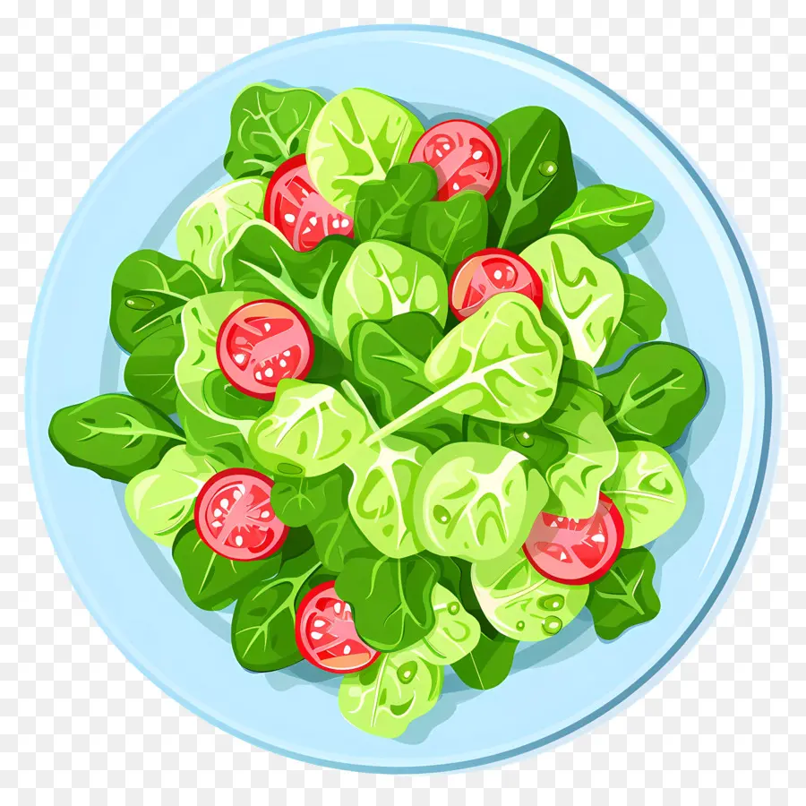 Hijau Salad，Salad PNG