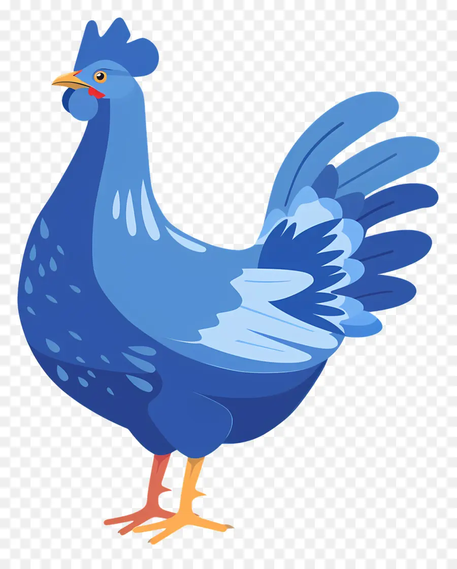 Ayam，Blue Ayam PNG