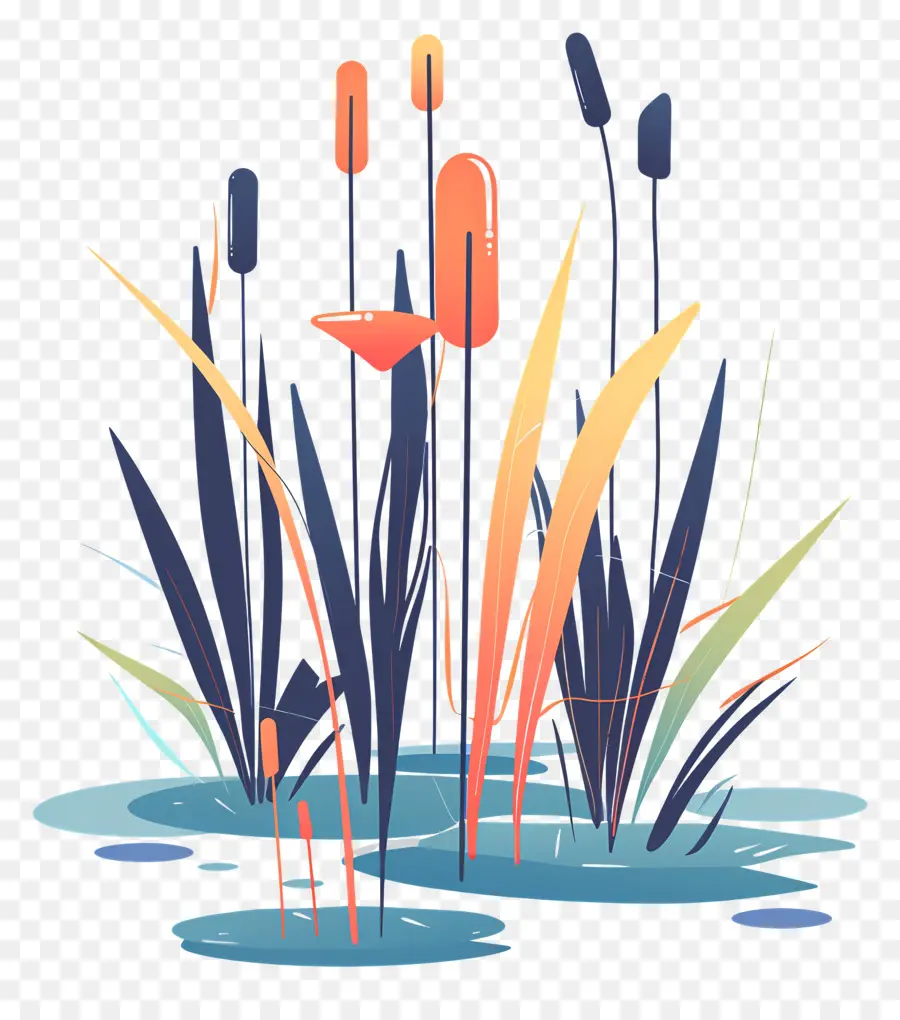 Alang Alang，Cattails PNG