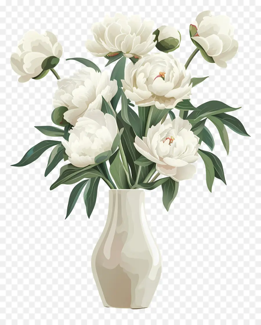 Peony Putih，Vas PNG