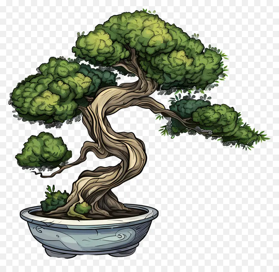 Pohon Bonsai，Pot Batu PNG