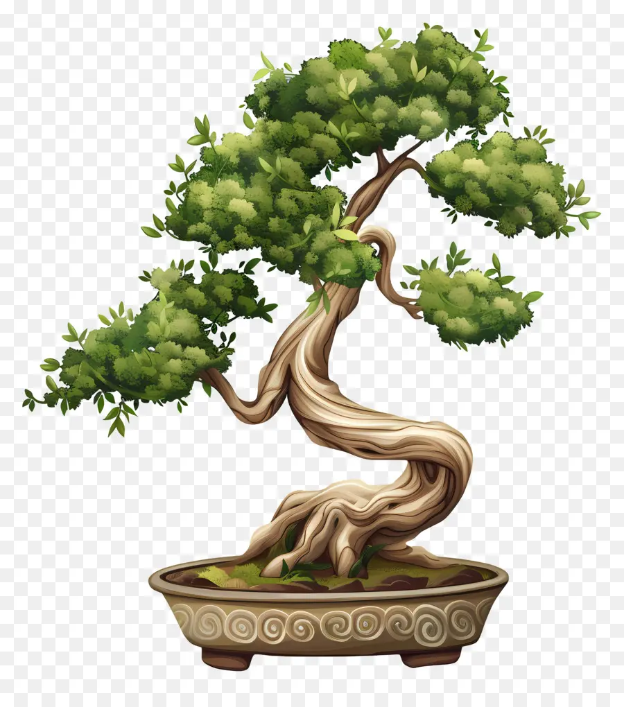 Pohon Bonsai，Berkebun Kontainer PNG