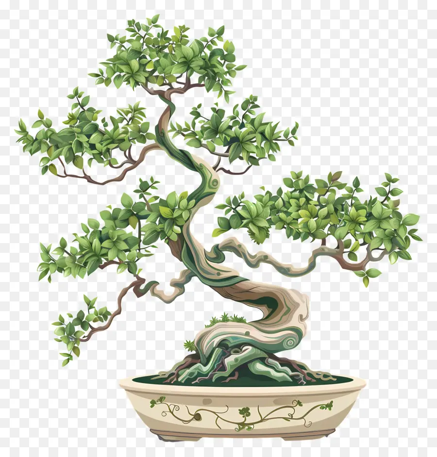 Pohon Bonsai，Hijau Daun PNG