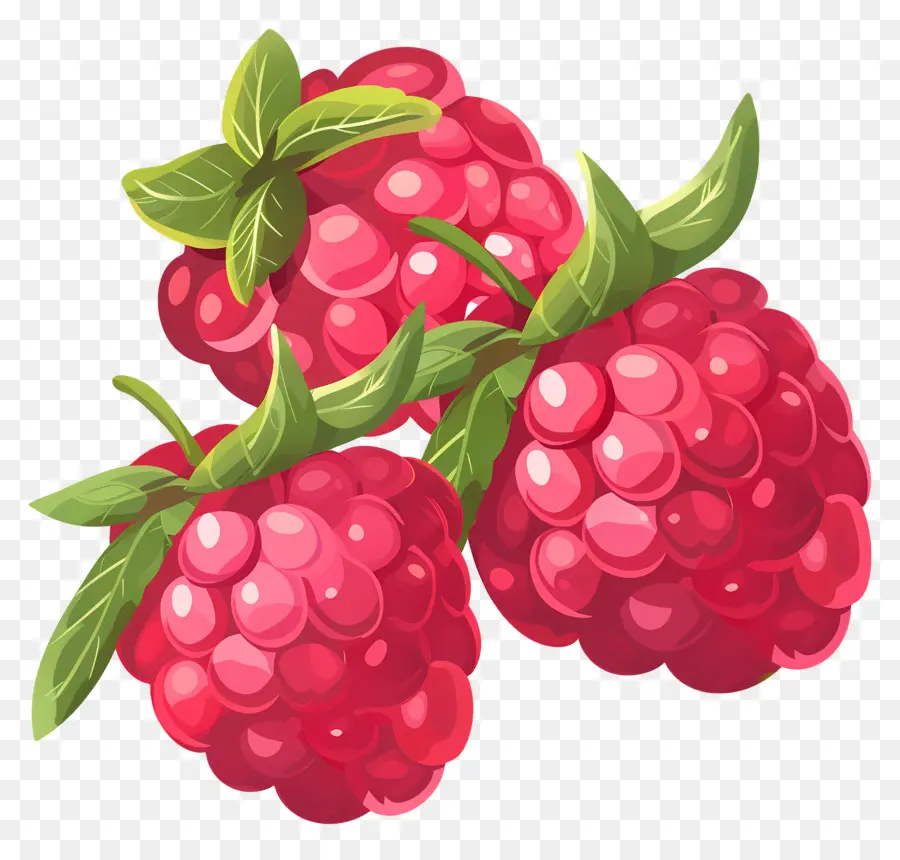 Raspberry，Juicy PNG