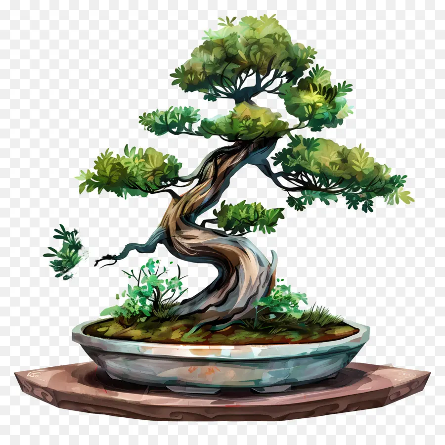 Pohon Bonsai，Hijau Daun PNG
