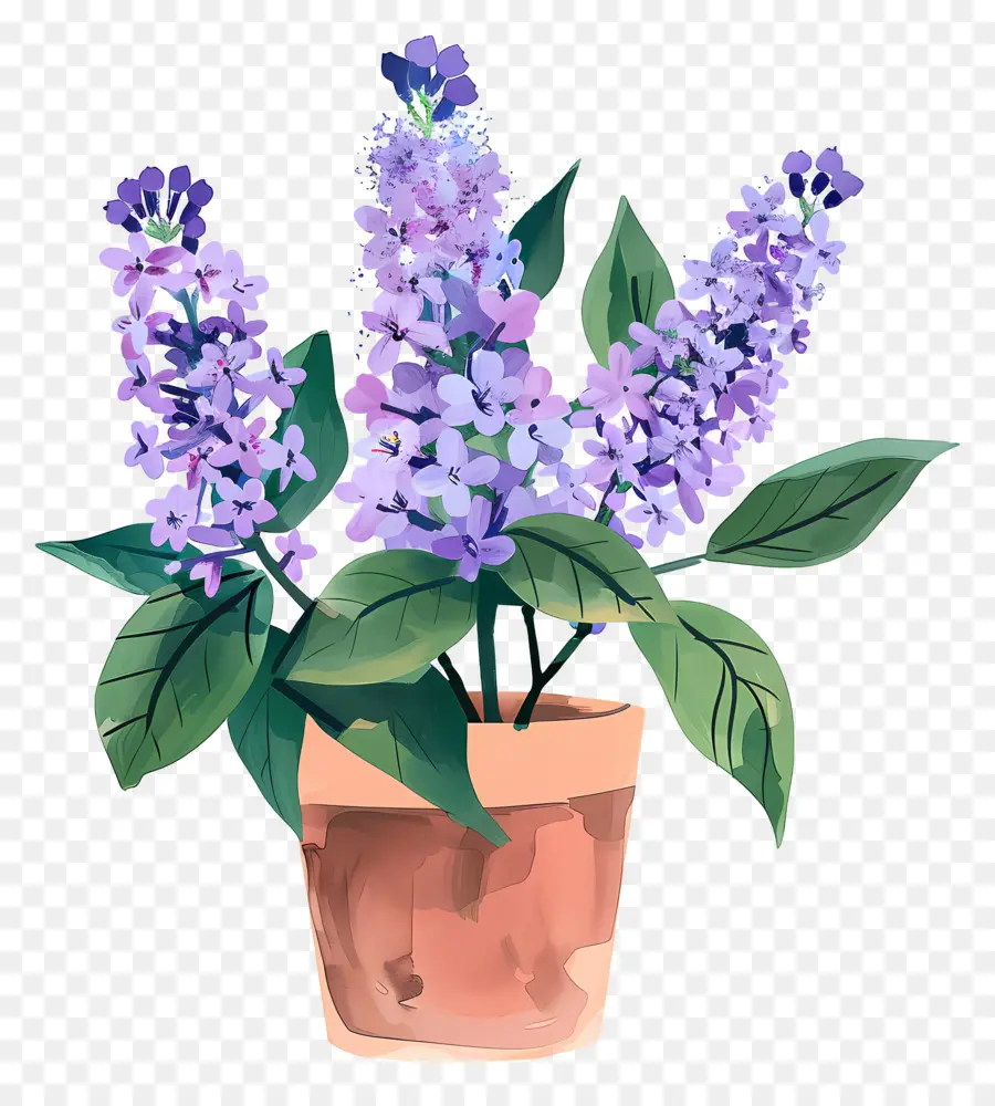 Lilac Estetika，Bunga Lilac Lavender PNG