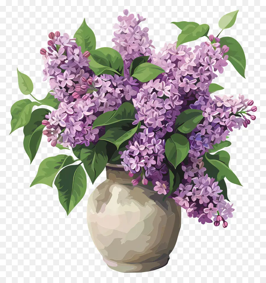 Lilac Estetika，Bunga Bunga Ungu PNG