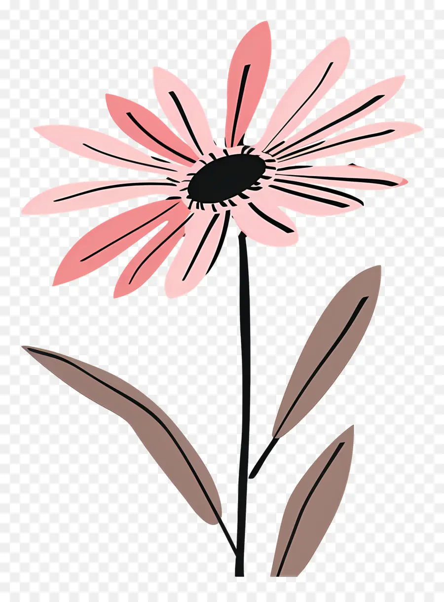Daisy Merah Muda，Kartun Merah Muda Bunga PNG